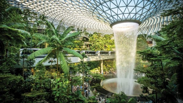 Asia Pacific drives GTR gin growth