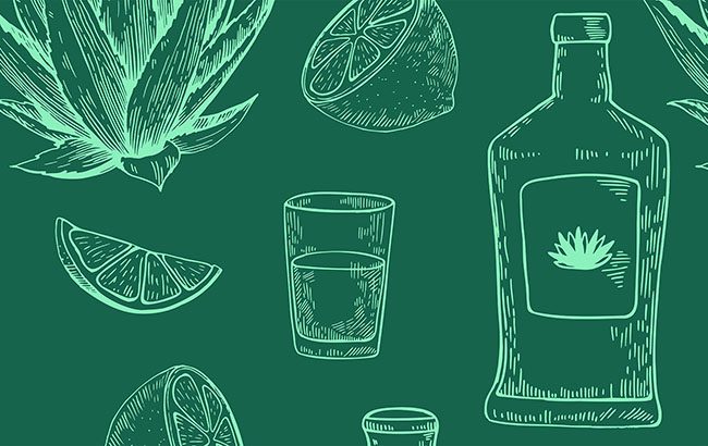 Seamless pattern with agave plant, lemon and tequila. Hand drawn illustration in engraving style. Vector retro print for design.