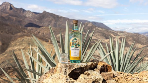 Top 10 award-winning Tequilas and mezcals