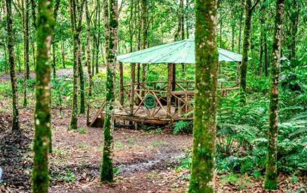 Colombian firm ILC on building a circular spirits model