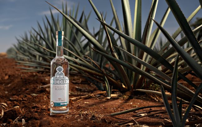 Socorro Tequilas