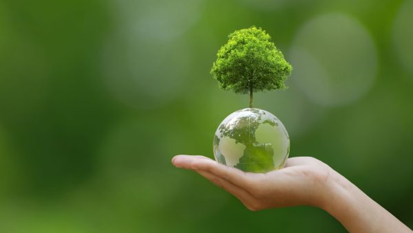 Earth Day: top carbon-neutral distilleries
