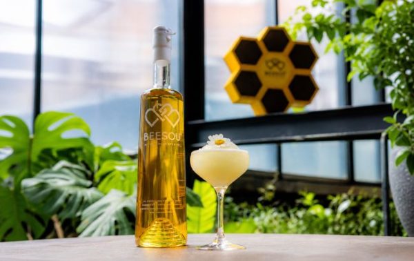 Beesou creates buzz for World Bee Day in London