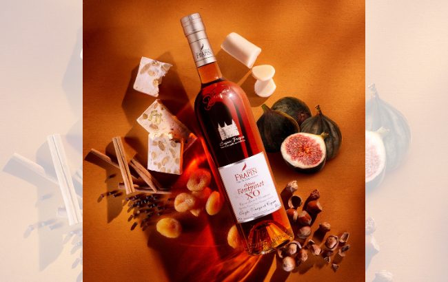 Cognac Frapin Château Fontpinot XO