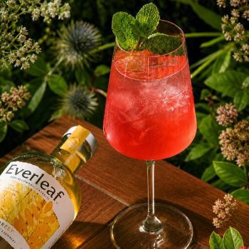 Everleaf Raising Bar Alcohol-free