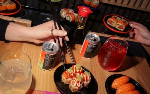 Moth jumps on the Yo! Sushi belt