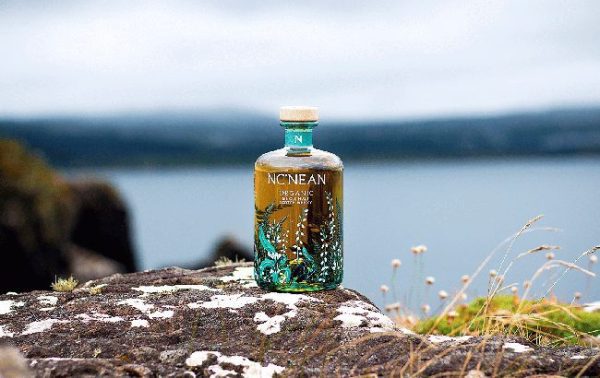 Nc’nean joins Mangrove’s portfolio