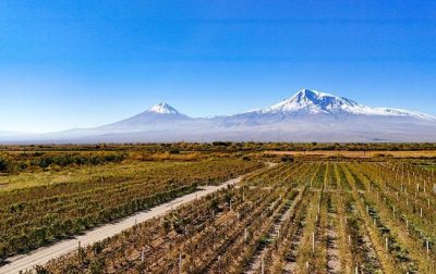 Why Armenian Brandy is ready to join the world’s great spirits
