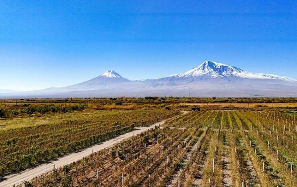 Why Armenian Brandy is ready to join the world’s great spirits