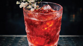 Cocktail stories: Negroni del Fin del Mundo