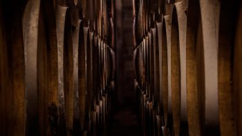 Cognac regroups to recover from category crash