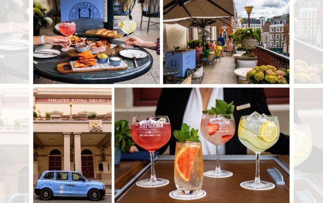 Hayman's Gin Bar