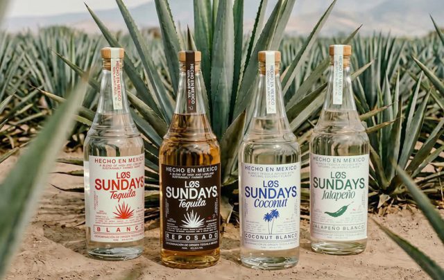 Los Sundays Tequila range among agave