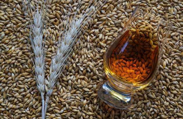 Top 10 biggest-selling Scotch Brand Champions
