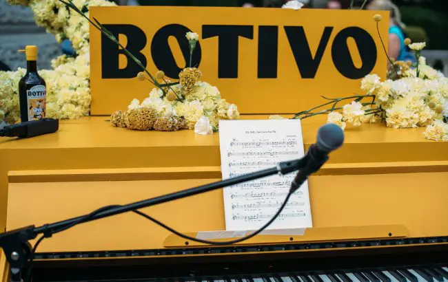 Botivo