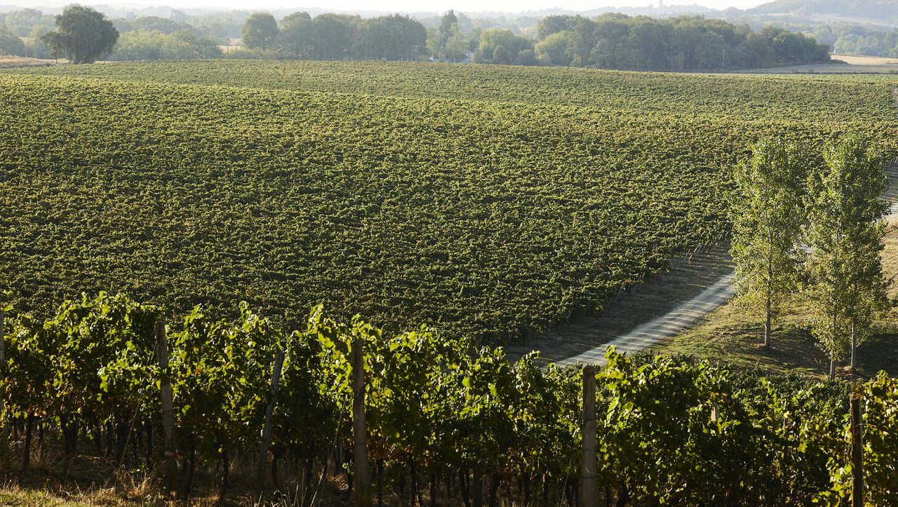 Can global brandy capitalise on Cognac’s challenges?
