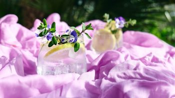 The Gin Masters 2026 – First Tasting results