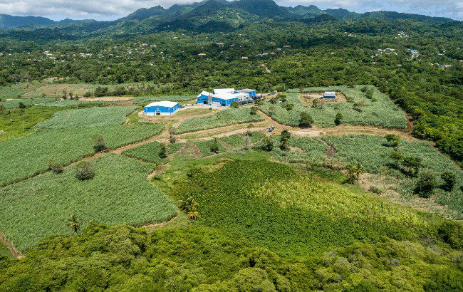 Renegade Distillery Grenada