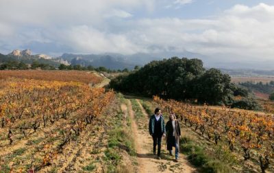 Zamora Company shows progress in decarbonisation plan