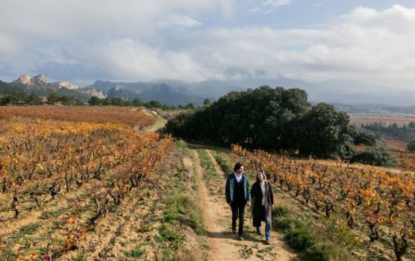 Zamora Company shows progress in decarbonisation plan